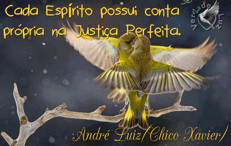 JUSTIÇA PERFEITA ANDRÉ LUIZ