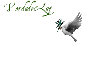 pomba branca e ramo verde
