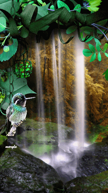 Cachoeira com passarinho
