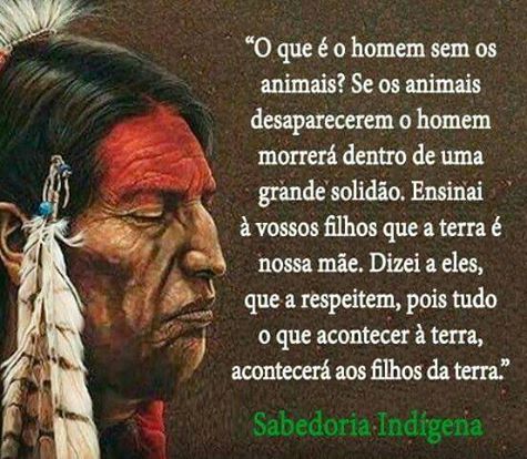 sabedoria indigena