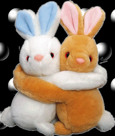 casal de coelhos