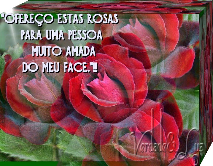 rosas amada